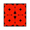 Birchwood Casey Target Spots, 3