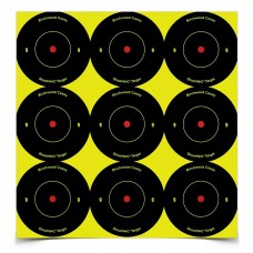 Birchwood Casey Shoot-N-C Target, Round Bullseye, 2