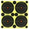 Birchwood Casey Shoot-N-C Target, Round Bullseye 3"
