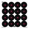 Birchwood Casey Dirty Bird Target, Bullseye, 3