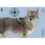 Birchwood Casey Pregame Target, Target With Visible Vitals, Coyote, 16.5x24, 3 Targets BC-35405