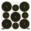 Birchwood Casey Dirty Bird, Target, 12