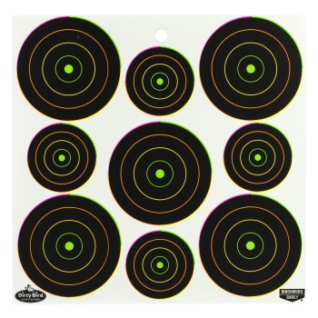 Birchwood Casey Dirty Bird, Target, 12