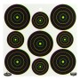 Birchwood Casey Dirty Bird, Target, 12