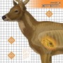 Champion Traps & Targets Deer X-Ray Target, 25x25, 6 Pack 45902