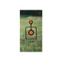 Caldwell Double Spin Centerfire Handgun  Swinging Target up to .44 mag