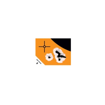 Caldwell Orange Peel Vermin Target: 7 10 sheets