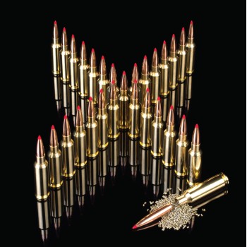 Hornady Handbook of Cartridge Reloading: 10th Edition